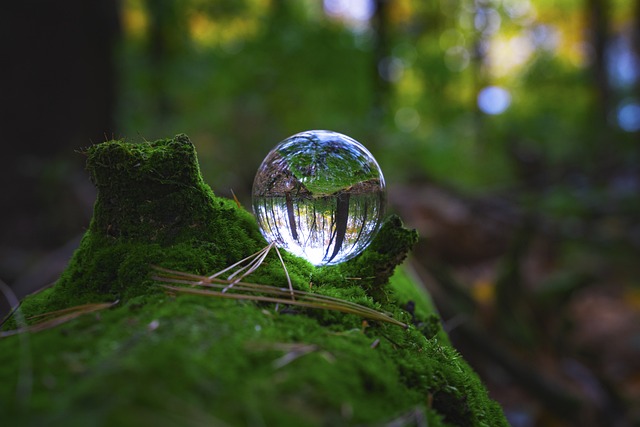 A crystal ball sits on a mossy log in a forest.